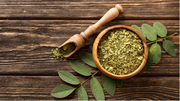Where to Buy Kratom Locally in Clearwater, FL: A Complete Buyer’s Guide (2026)