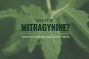 What Is Mitragynine? A Complete Guide for Kratom Enthusiasts