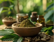 Where to Buy Kratom in Clearwater, FL – Bulk & Wholesale Options